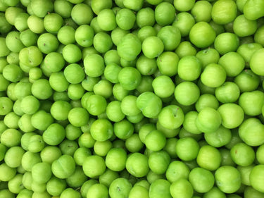 Persian Sour Plum 'Tabriz' - Goje Sabz Tree